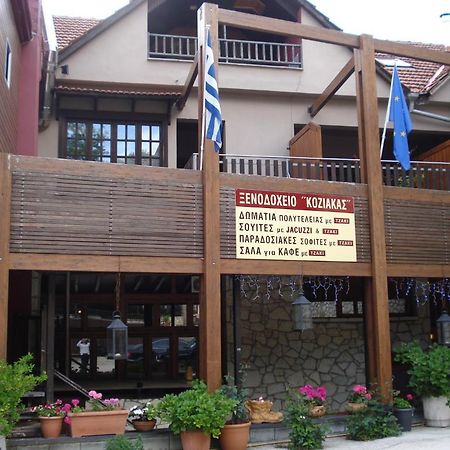 Hotel Koziakas Elati  Екстер'єр фото