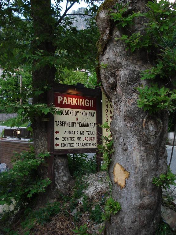 Hotel Koziakas Elati  Екстер'єр фото
